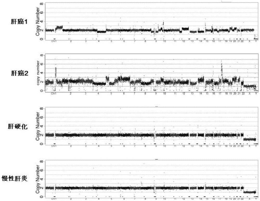 Noninvasive human liver cancer early detection and differential diagnosis method and system