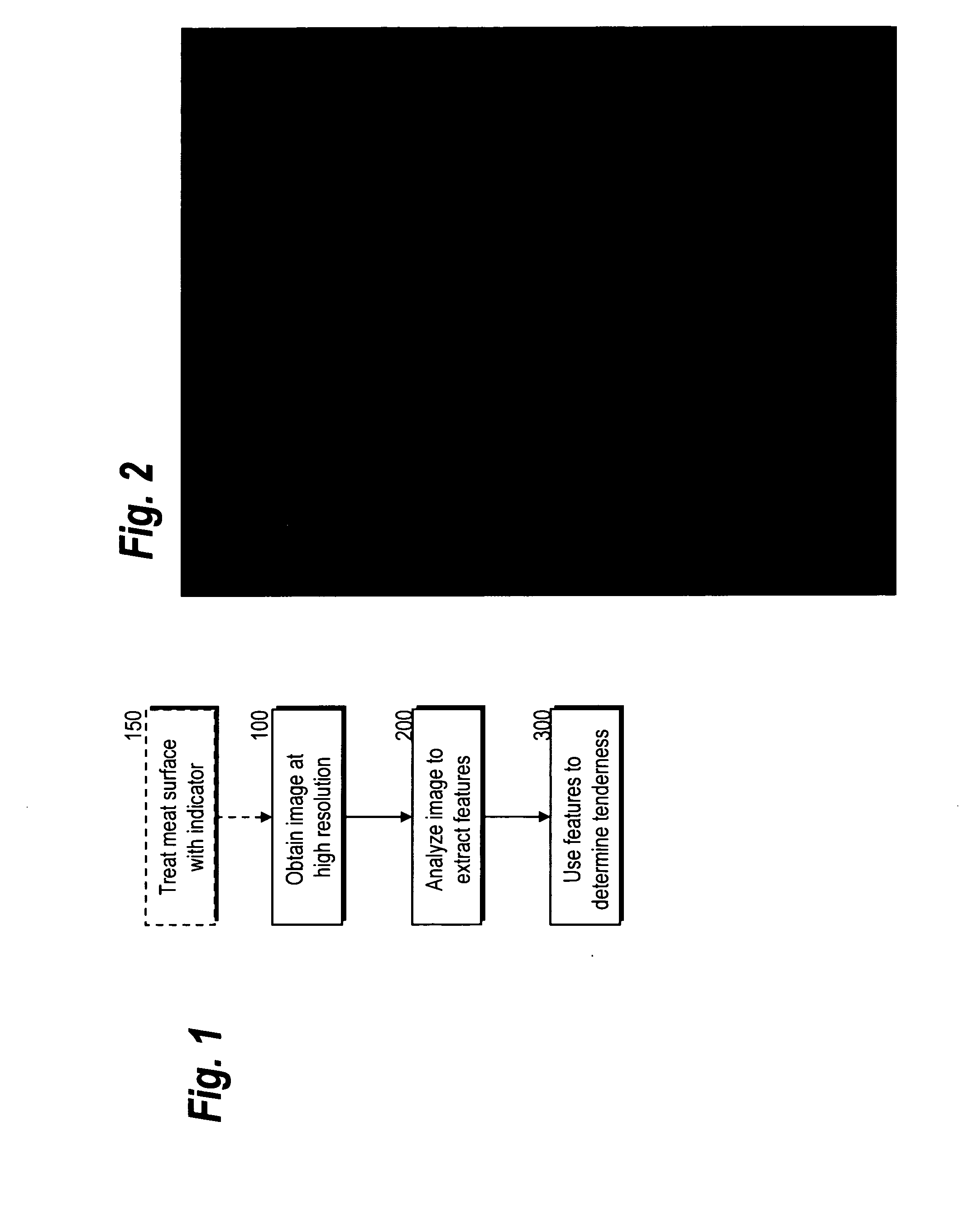 Imaging Method For Determining Meat Tenderness