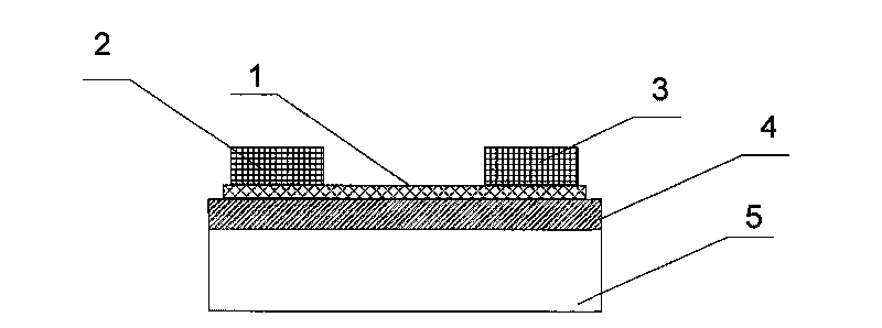 Nanometer electronic device based on semiconductor nano materials and preparation method thereof