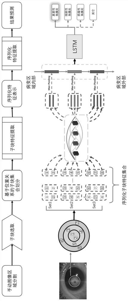 Method and device for serialized feature extraction and classification of corneal disease images based on deep neural network