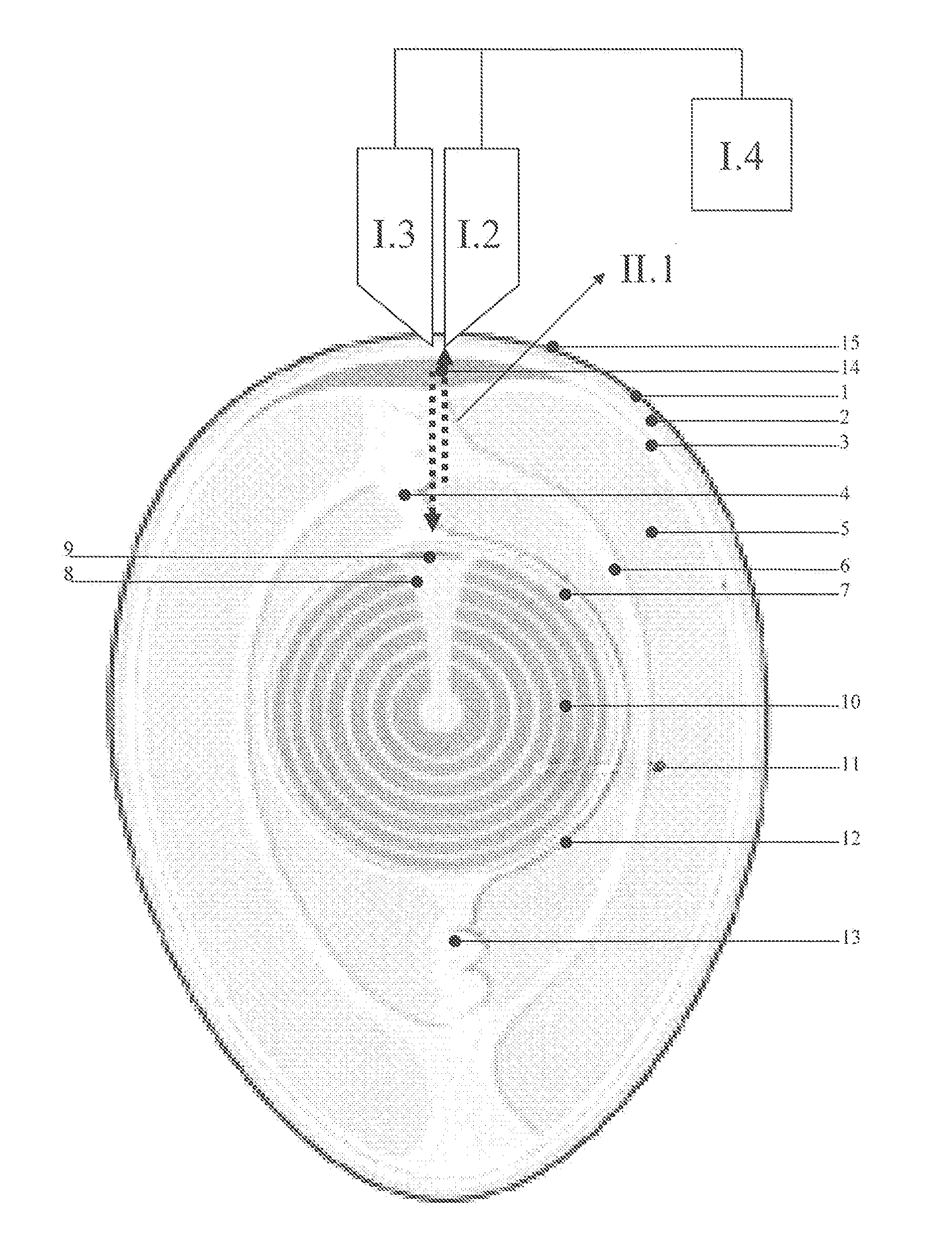 Method for avian sex determination