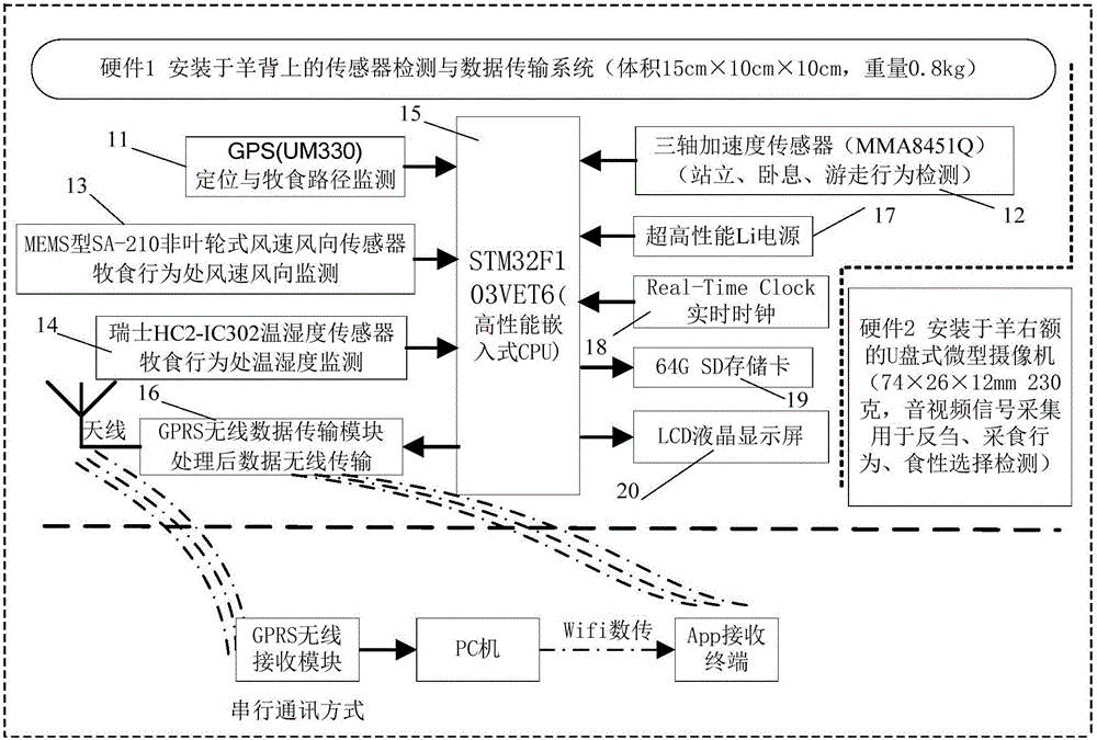 Grassland grazing sheep grazing behavior detection system and method