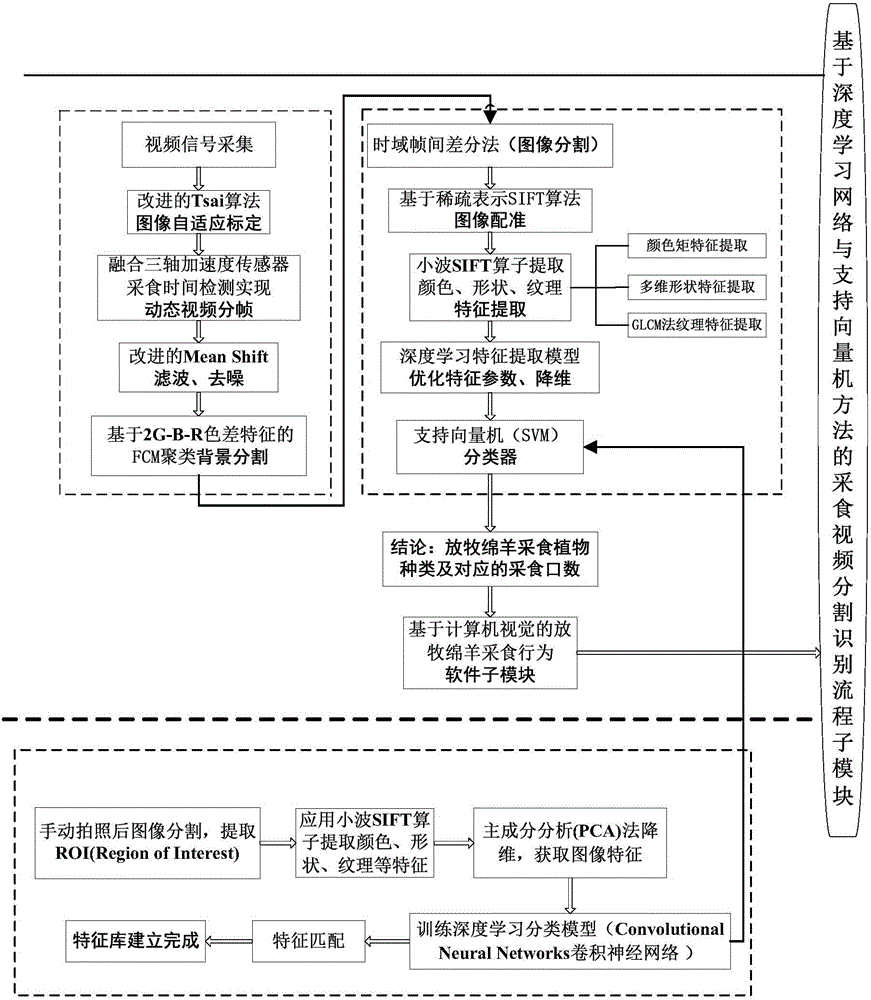 Grassland grazing sheep grazing behavior detection system and method