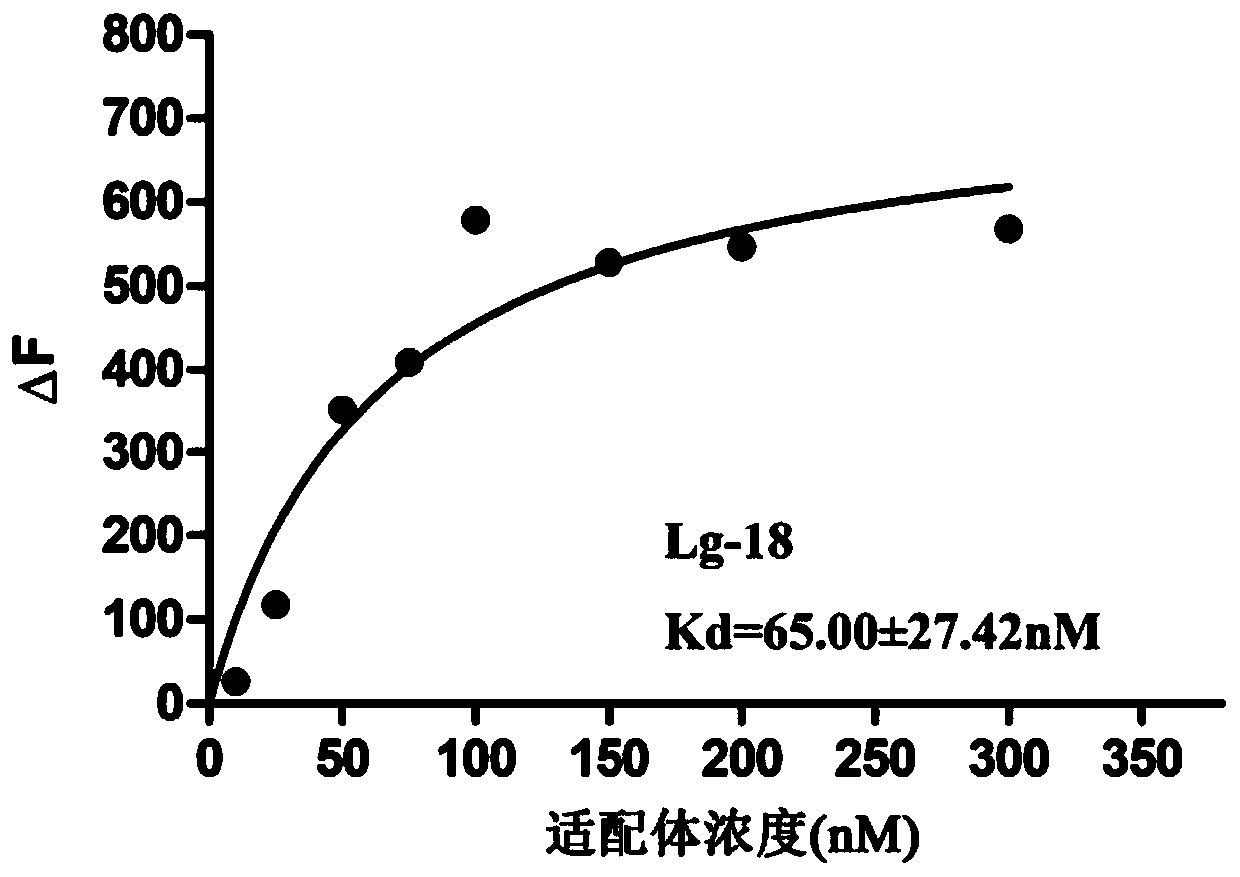 Nucleic acid aptamer capable of specifically recognizing beta-lactoglobulin and application of nucleic acid aptamer