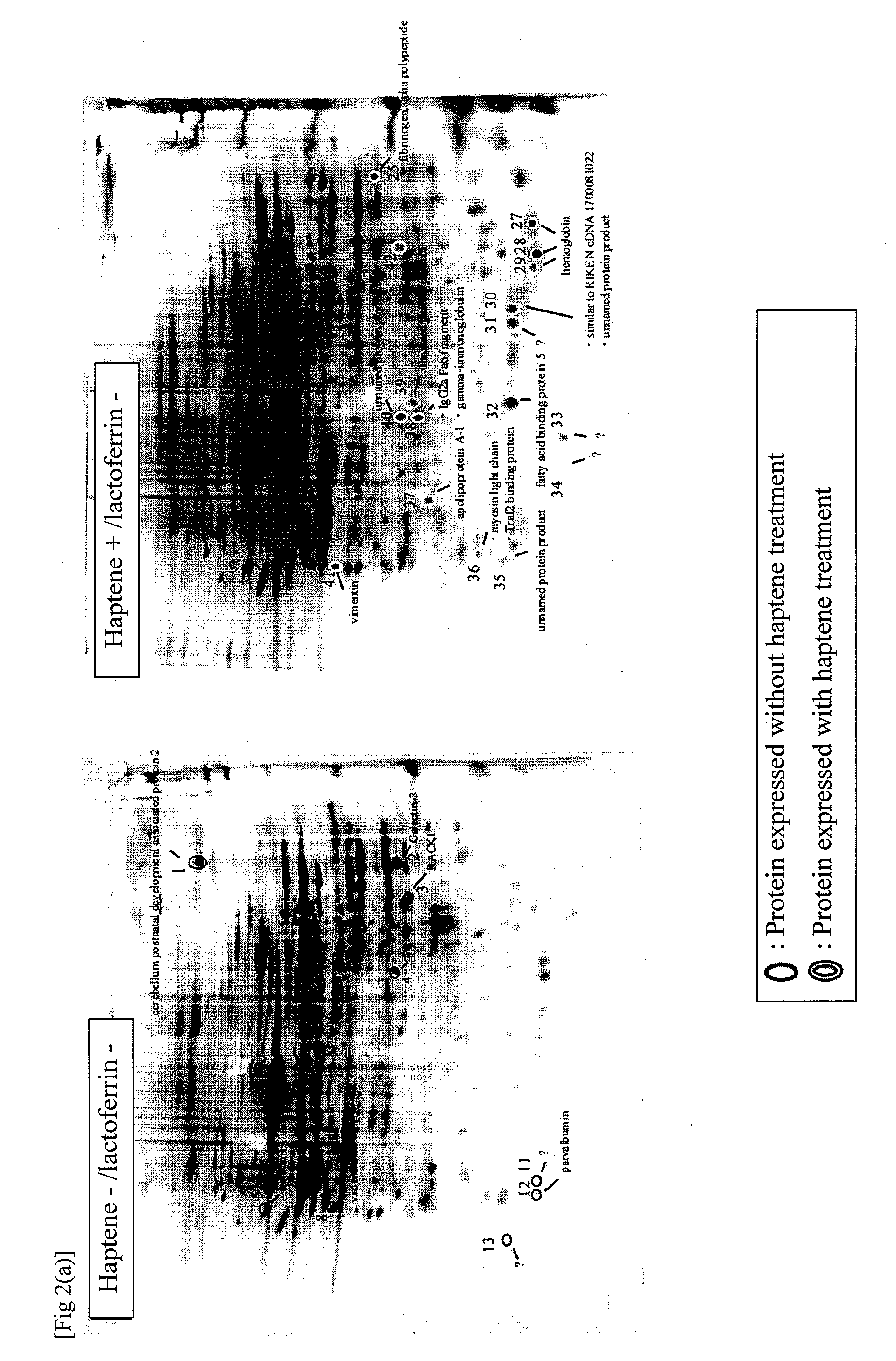 Atopic dermatitis marker and technique of using the same