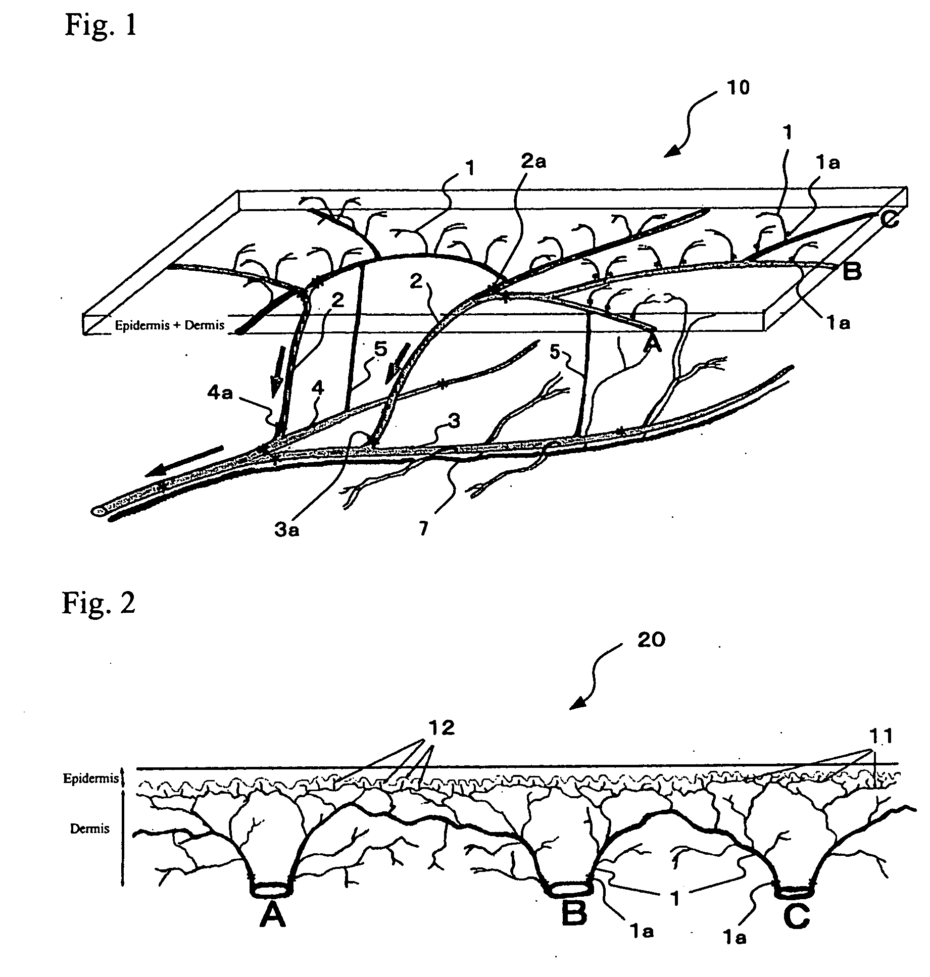 Indicator, method of teaching massage operation and method of massage operation