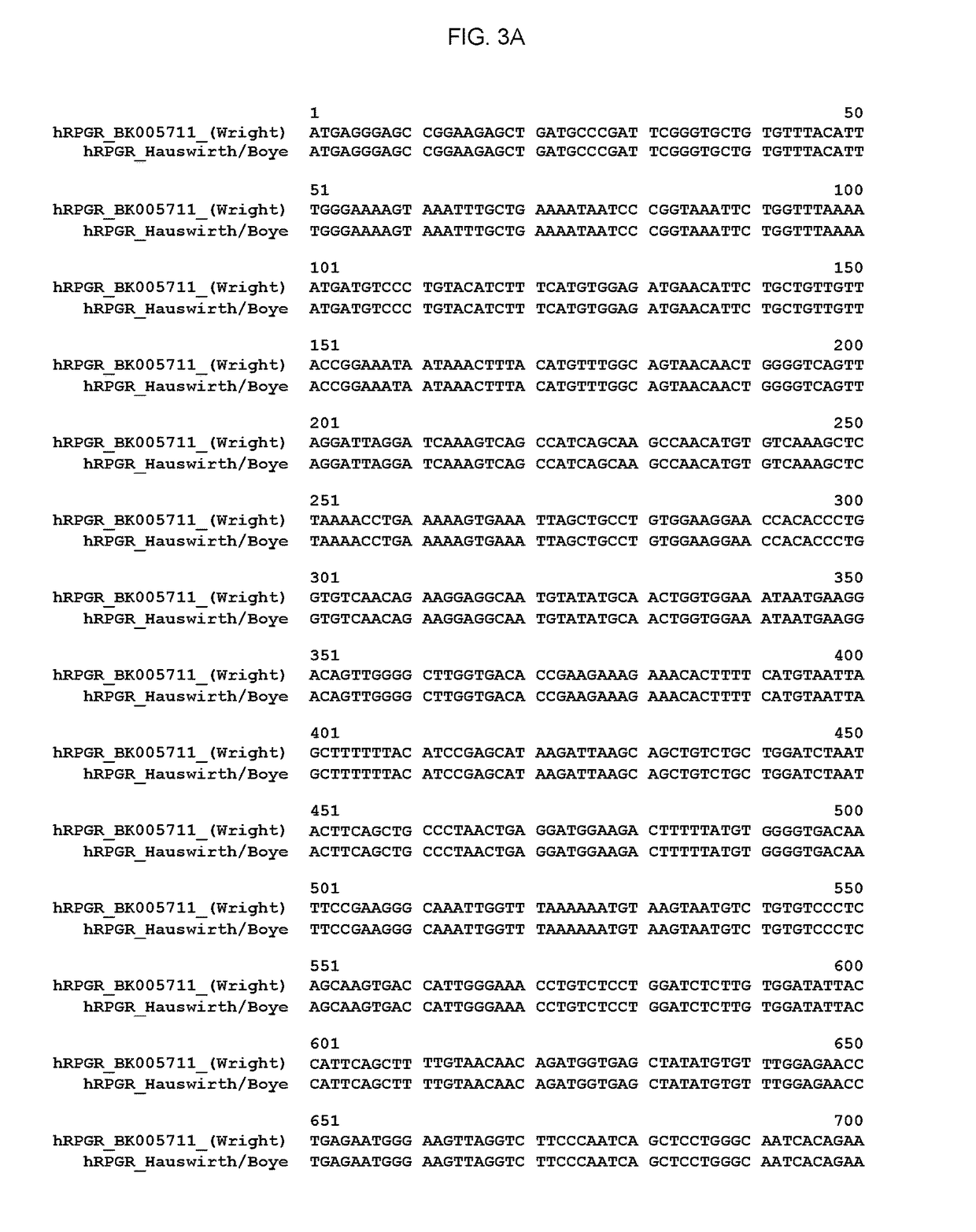 AAV-mediated gene therapy for RPGR X-linked retinal degeneration