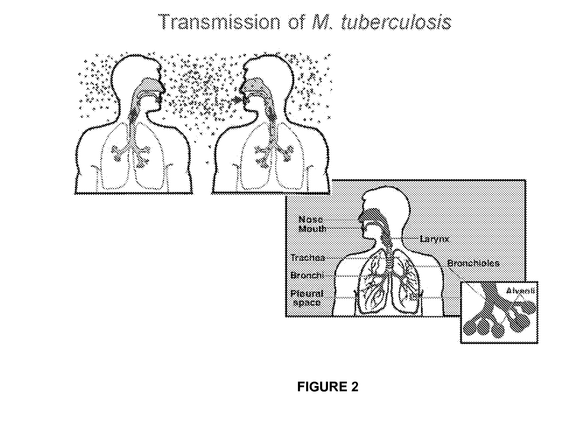 Tricyclic benzoxaborole compounds and uses thereof