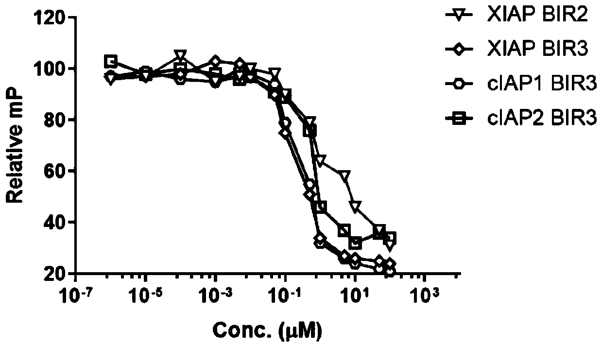 Application of benzamide compound in IAP protein inhibitor and in preparation of anti-tumor drug