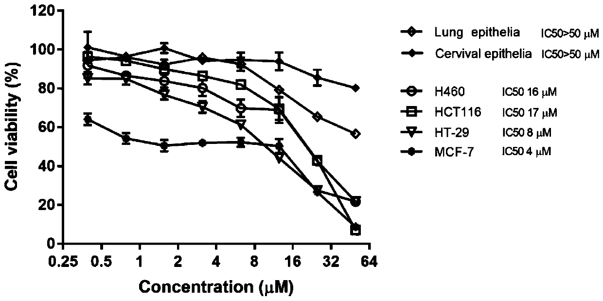 Application of benzamide compound in IAP protein inhibitor and in preparation of anti-tumor drug