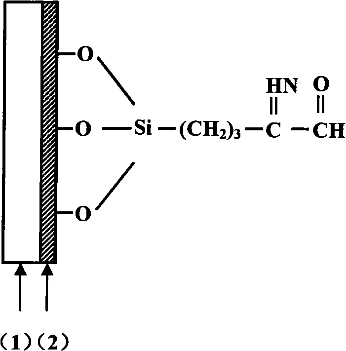 Tantalum doping tin oxide thin film carrier material for gene chip