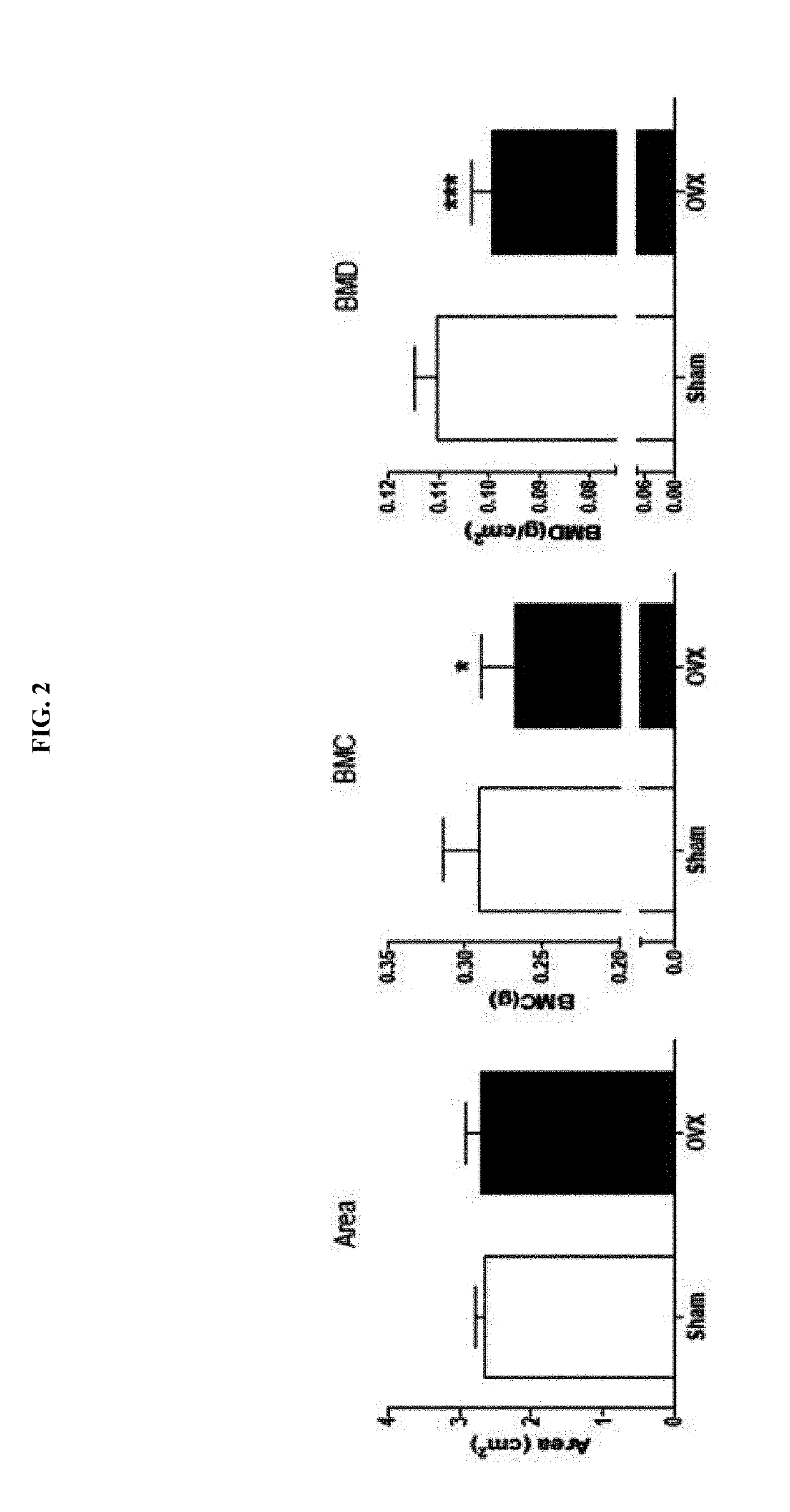 Composition for preventing or treating menopause, containing lactobacillus acidophilus