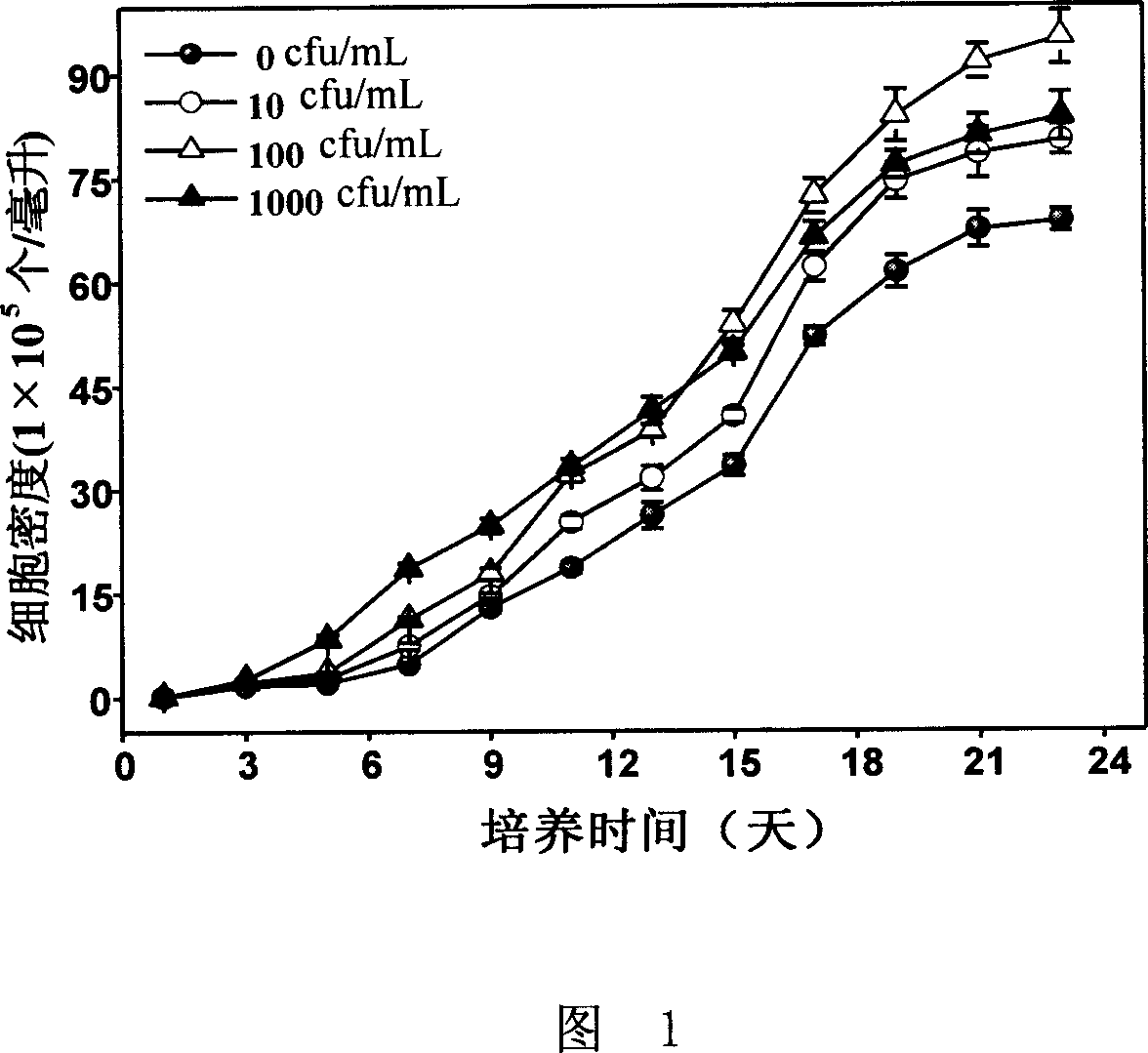 Culture method of dunalilla salina