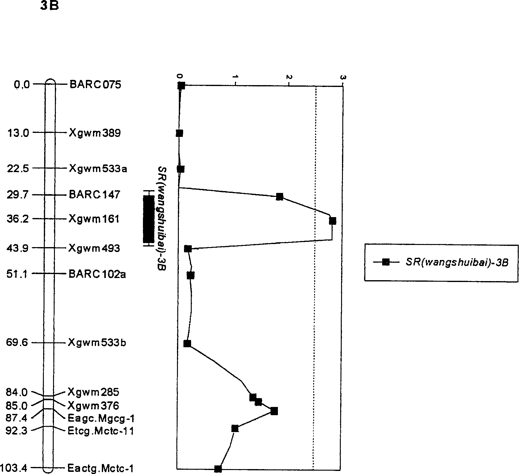 Molecular label closely linked with wangshuibai speces and series wheat tibberellin resistance main efect QTL and its application