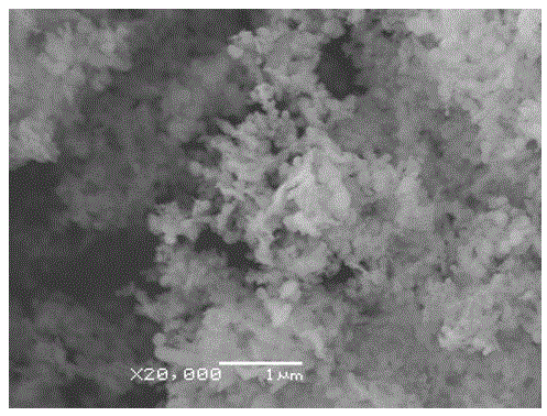 Method for producing high-purity magnesium oxide by using light calcined powder as raw material