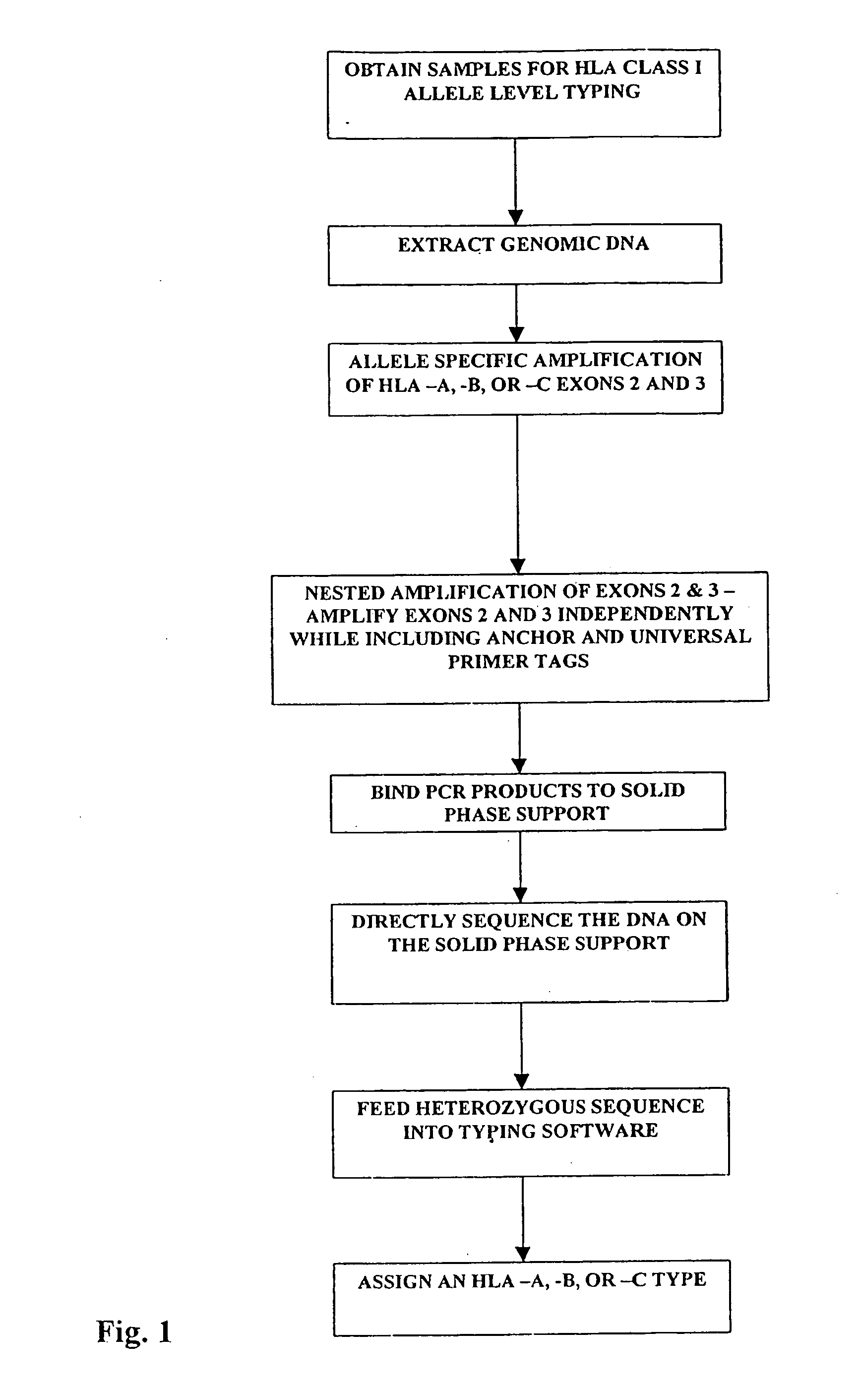 Class I sequence based typing of HLA-A, -B, and -C alleles by direct DNA sequencing