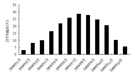 Removal of Provenance Sources of Overwintering Bloom Cyanobacteria in Large Shallow Lakes