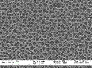 Preparation method of recyclable surface-enhanced Raman-spectrum active substrate