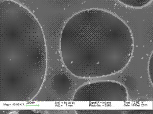 Preparation method of recyclable surface-enhanced Raman-spectrum active substrate