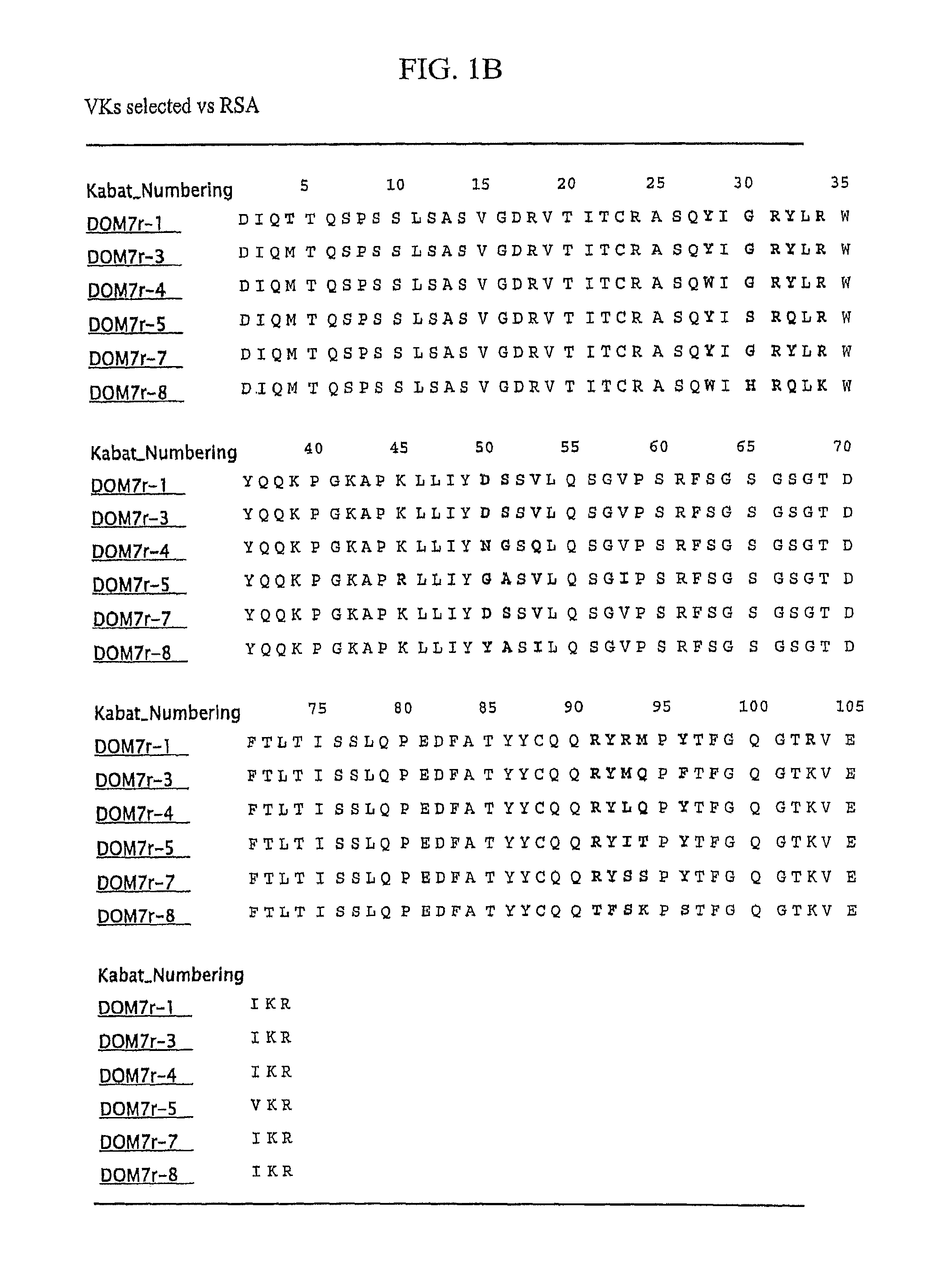 Bispecific fusion antibodies with enhanced serum half-life