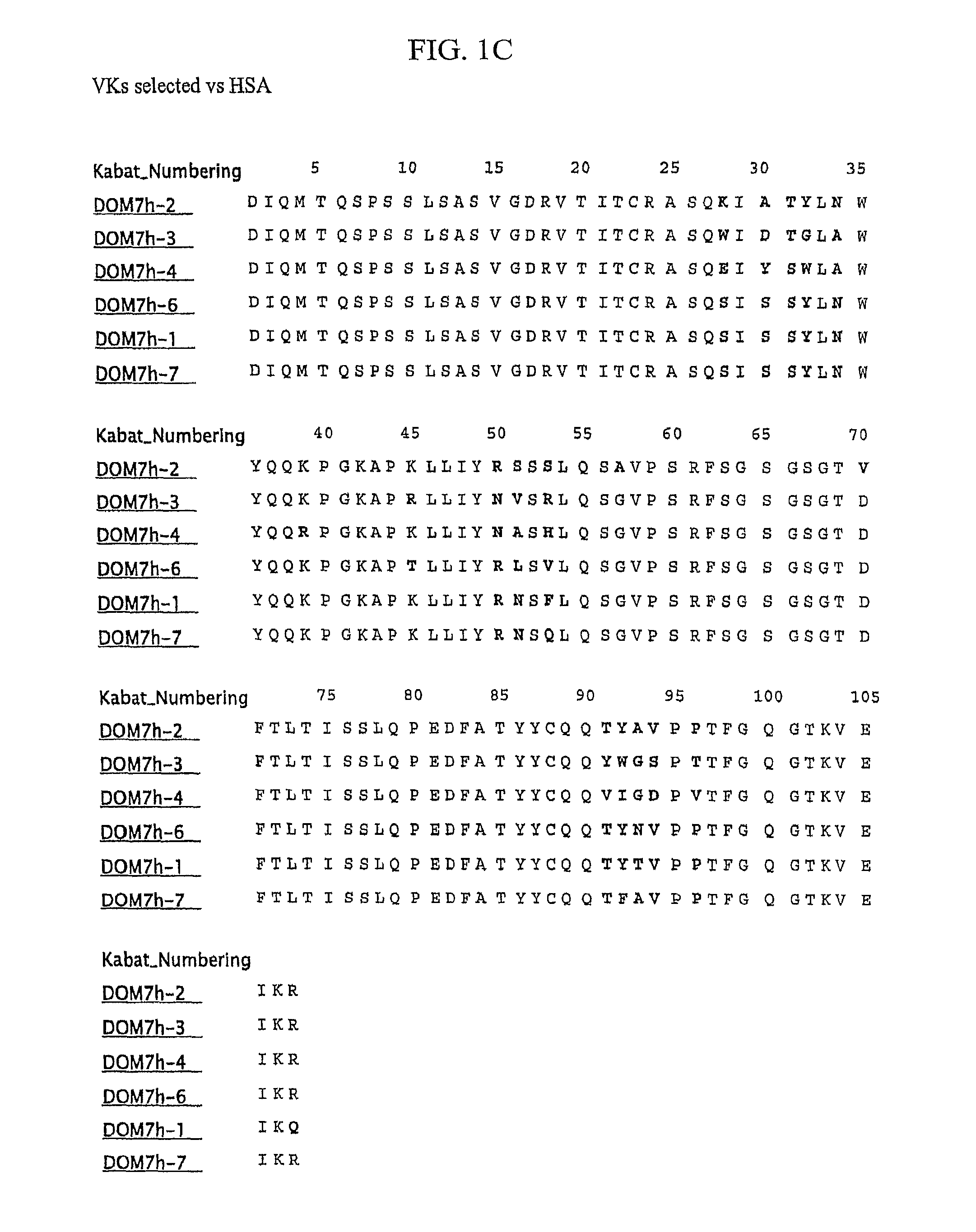 Bispecific fusion antibodies with enhanced serum half-life