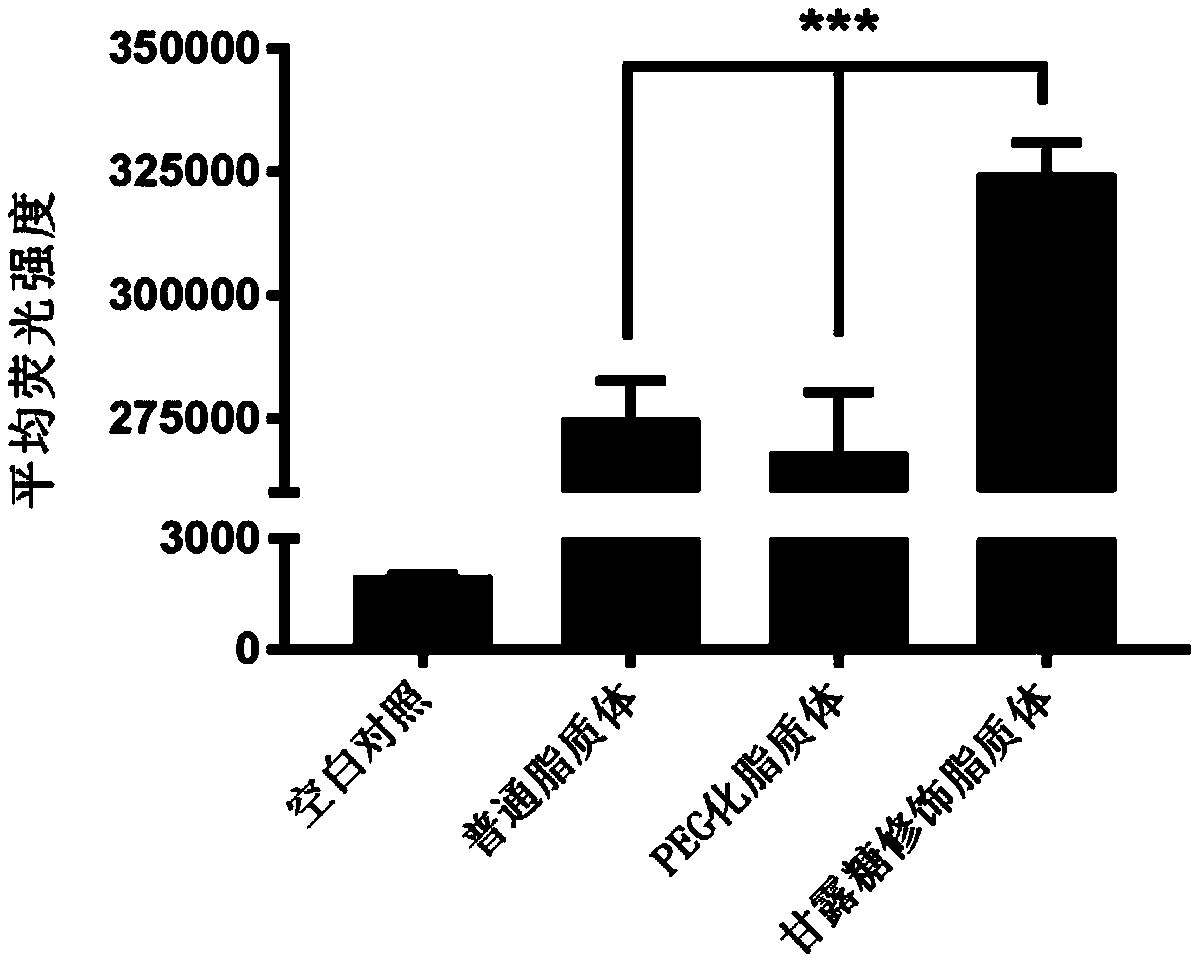 Immune targeting functional liposome as well as preparation method and application thereof