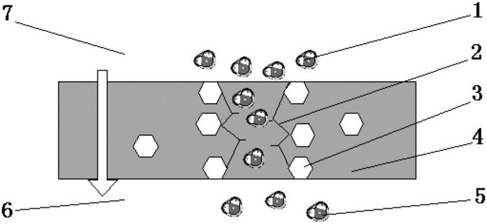 Multifunctional graphene/high-molecular composite material water permeable membrane, preparation method, and application thereof