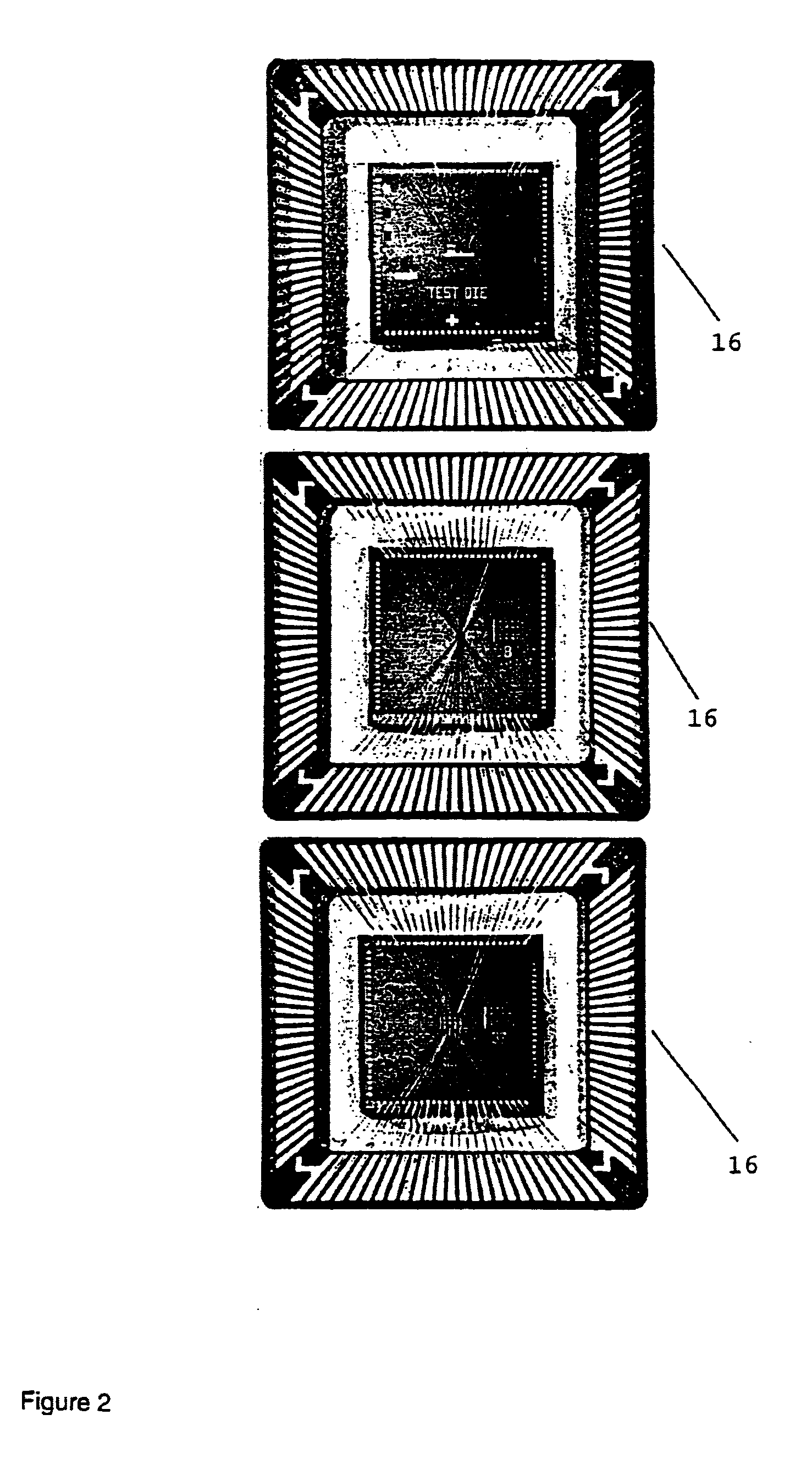 Mammalian cell culture chamber