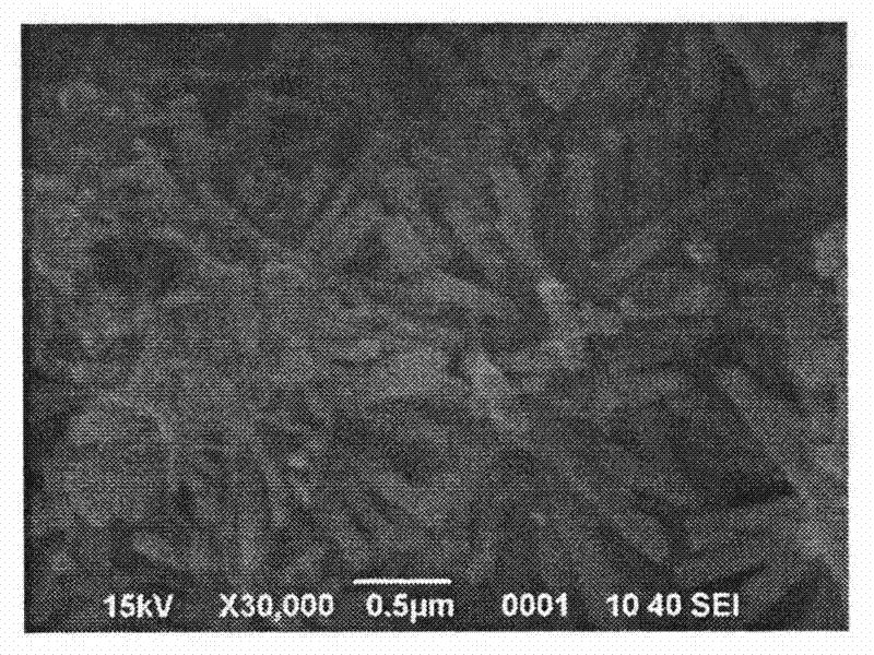 Method and device for preparing ZnO nano-particles by external electric-field induction