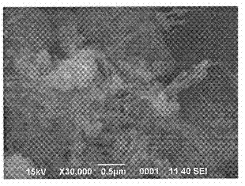 Method and device for preparing ZnO nano-particles by external electric-field induction