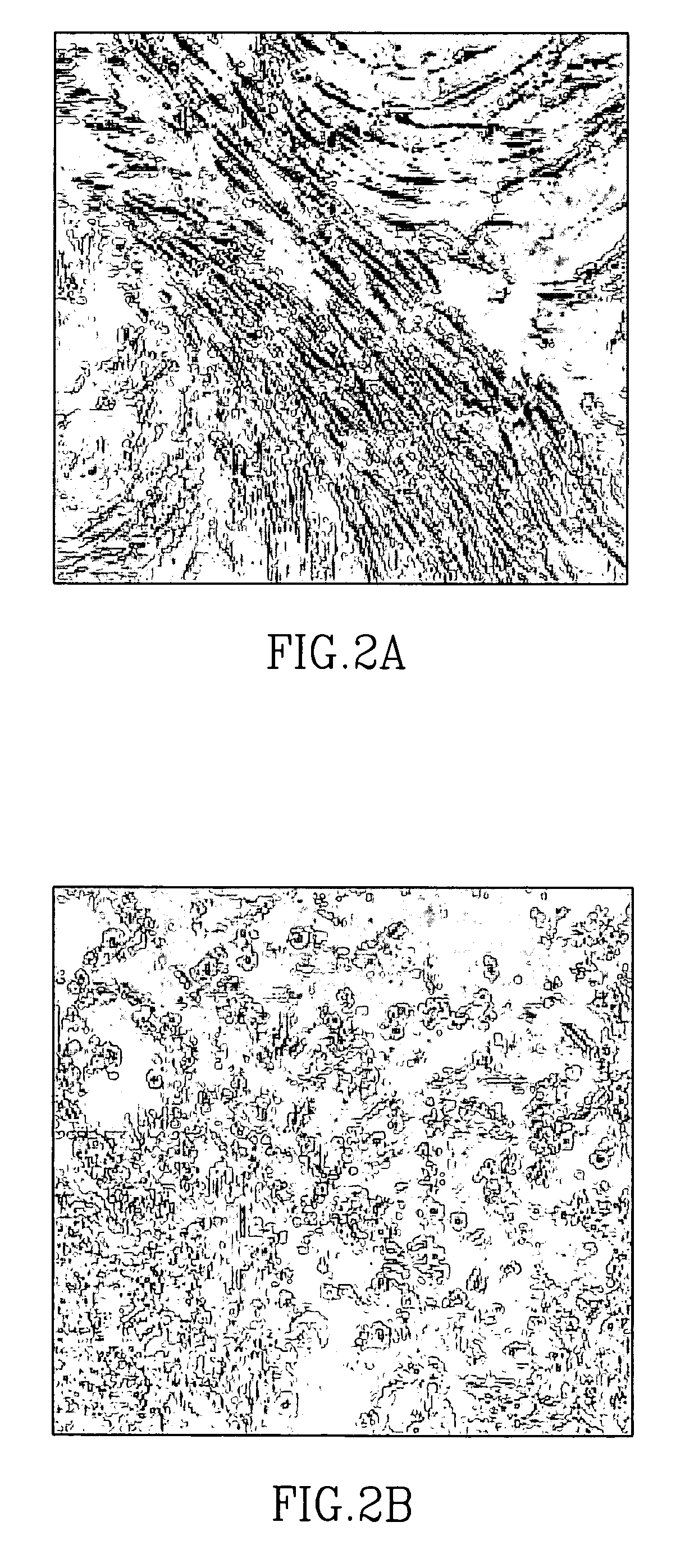 Methods of implanting mesenchymal stem cells for tissue repair and formation