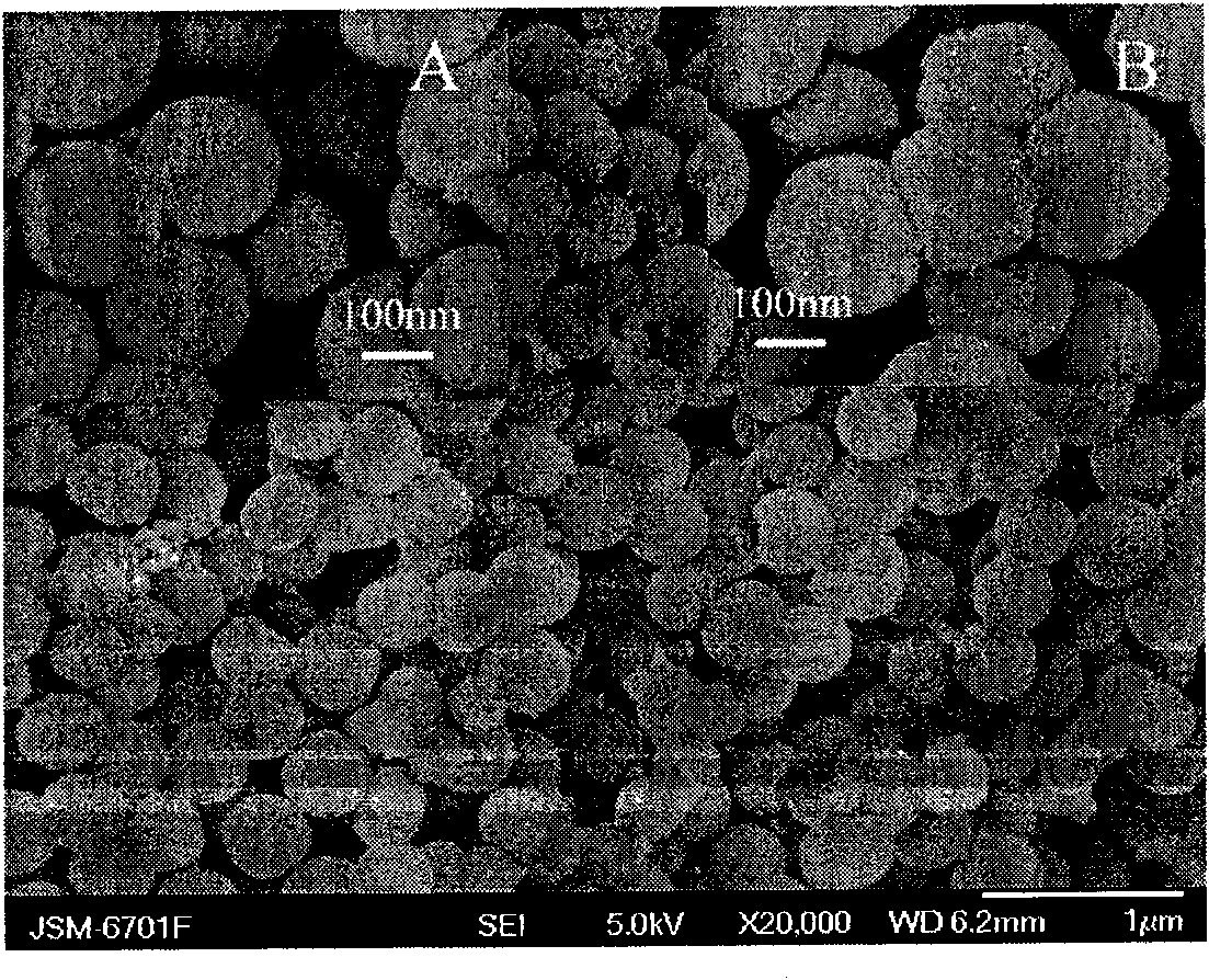 Substrate with surface-enhanced Raman scattering activity and preparation method thereof