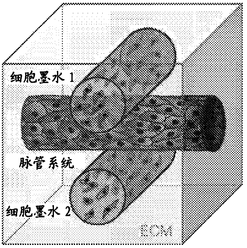 Tubular tissue construct and a method of printing