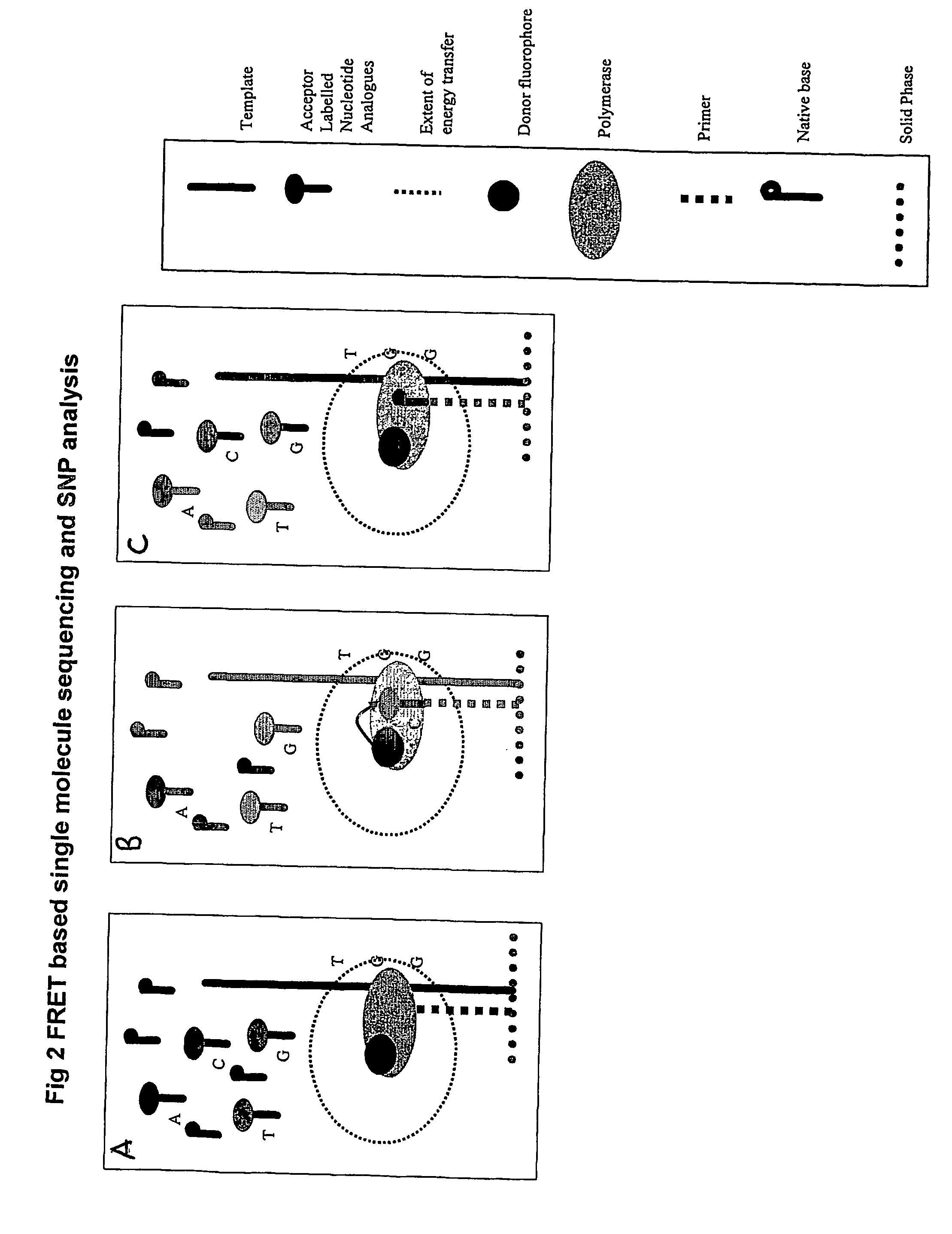 Nucleic acid sequencing methods, kits and reagents