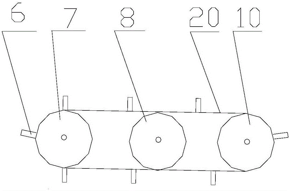 Buckling-type device realizing automatic and timed feeding of insect repellent to dogs