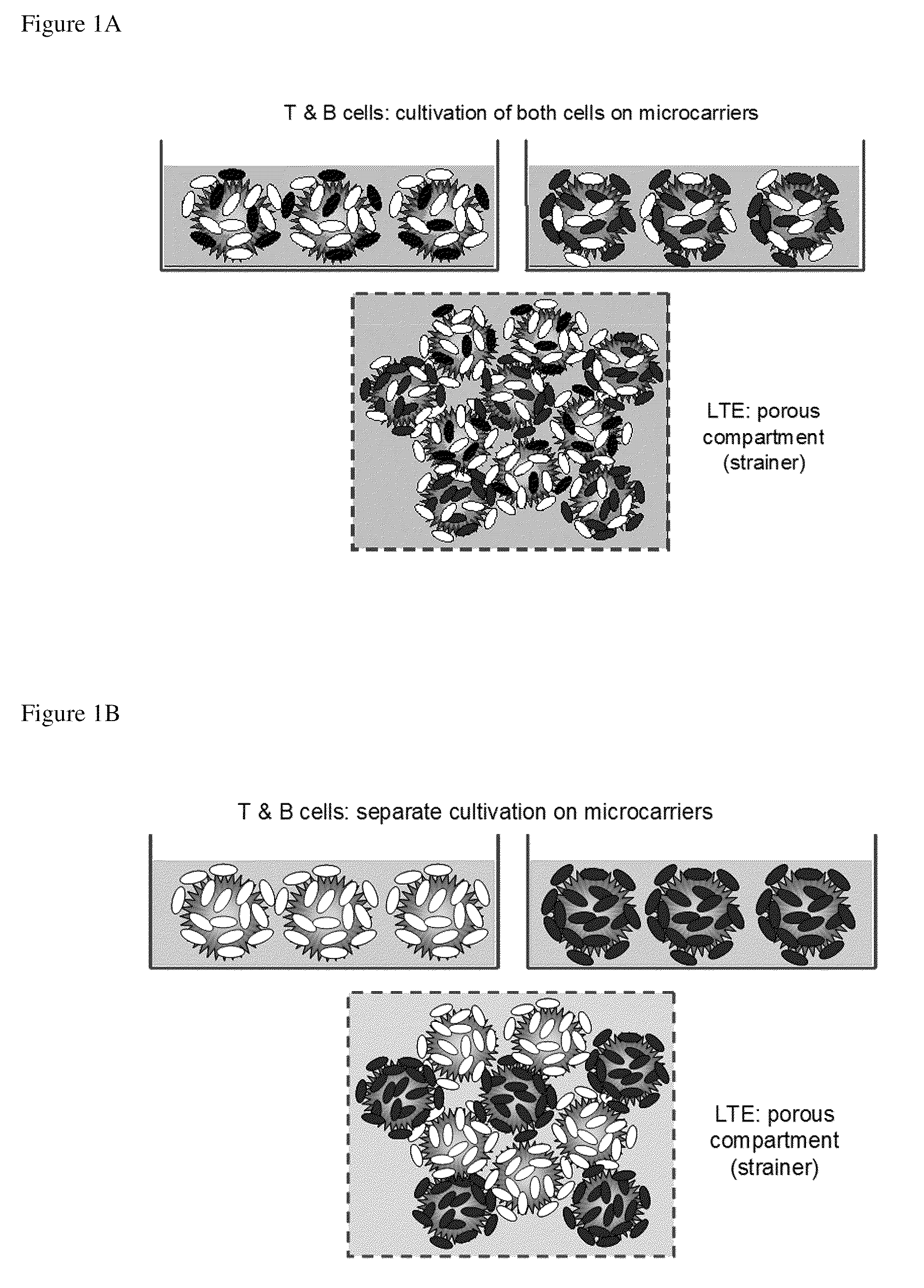 Methods for antibody production