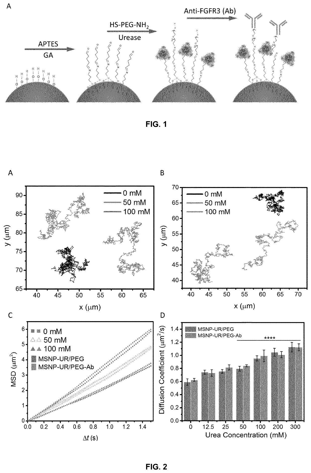 Functionalized Enzyme-Powered Nanomotors