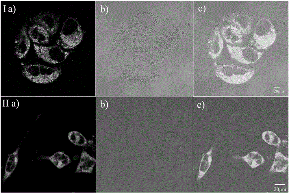 Membrane permeability dye with large two-photon fluorescence active cross section and application of membrane permeability dye