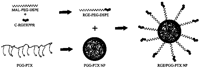 A physically encapsulated tumor-targeted nano-drug delivery system and its preparation method and application