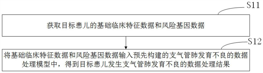 Bronchial pulmonary dysplasia data processing method and device and related equipment