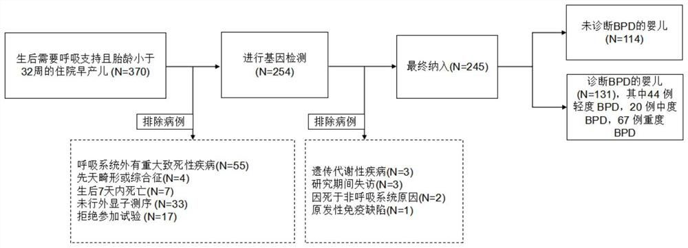 Bronchial pulmonary dysplasia data processing method and device and related equipment