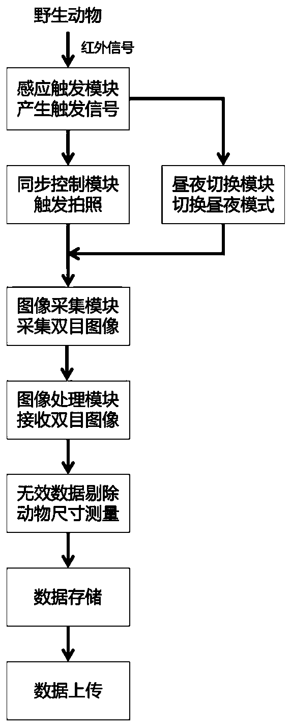 Local stereoscopic vision infrared camera system and method for wild animal monitoring