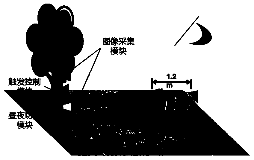 Local stereoscopic vision infrared camera system and method for wild animal monitoring