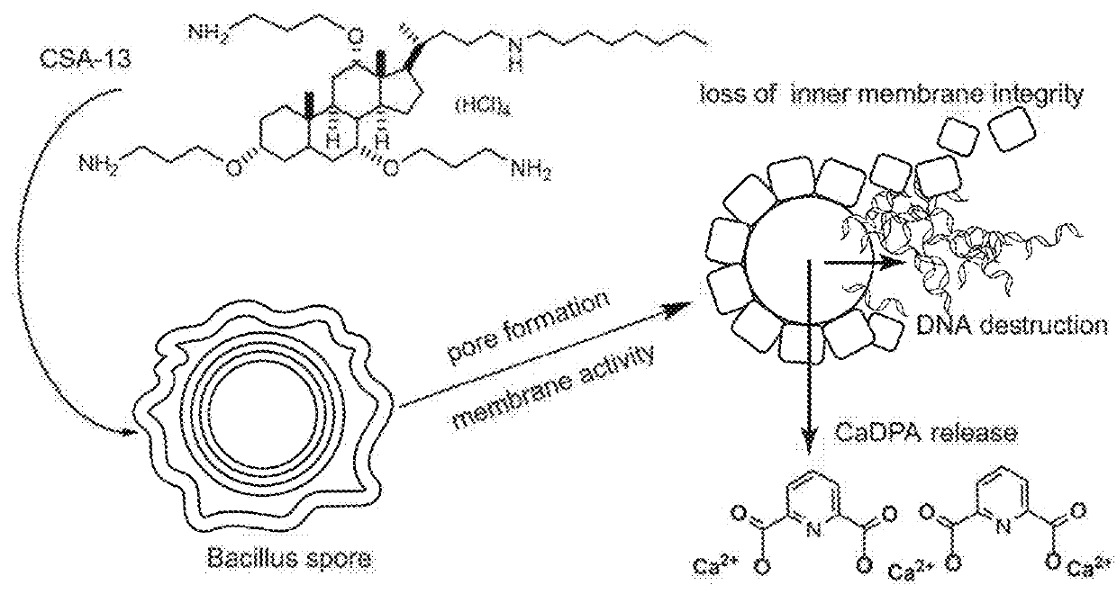 Use of cationic steroidal antimicrobials for sporicidal activity