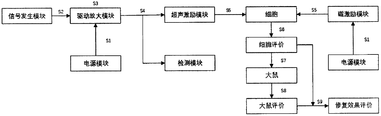 Bimodal excitation cell system based on ultrasonics and electromagnetics