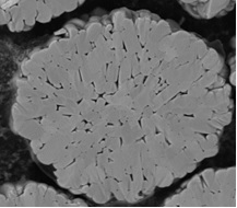 Anode material with uniform porous structure and preparation method thereof