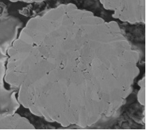 Anode material with uniform porous structure and preparation method thereof