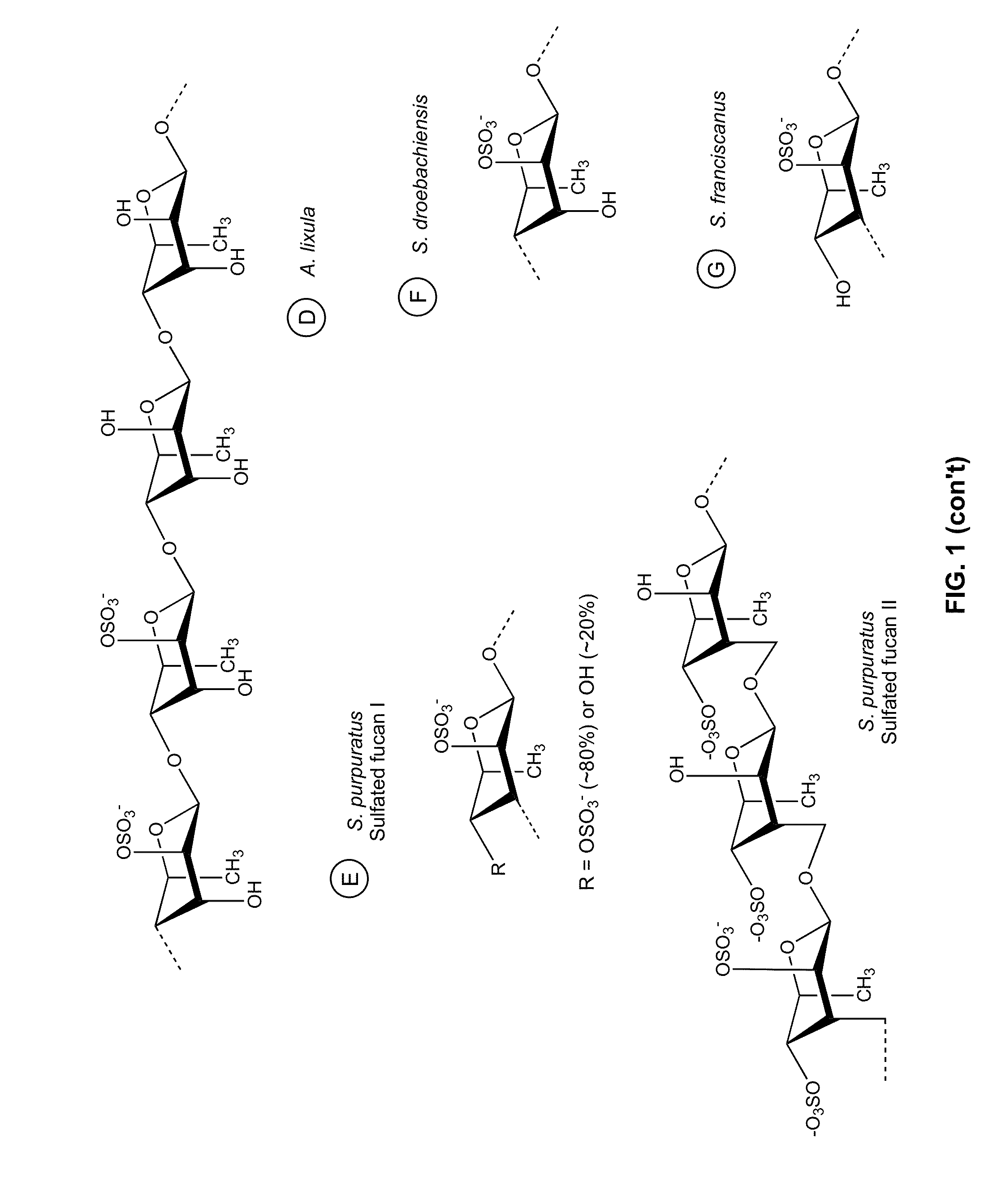 Therapeutic Sulfated Polysaccharides, Compositions Thereof, and Methods for Treating Patients