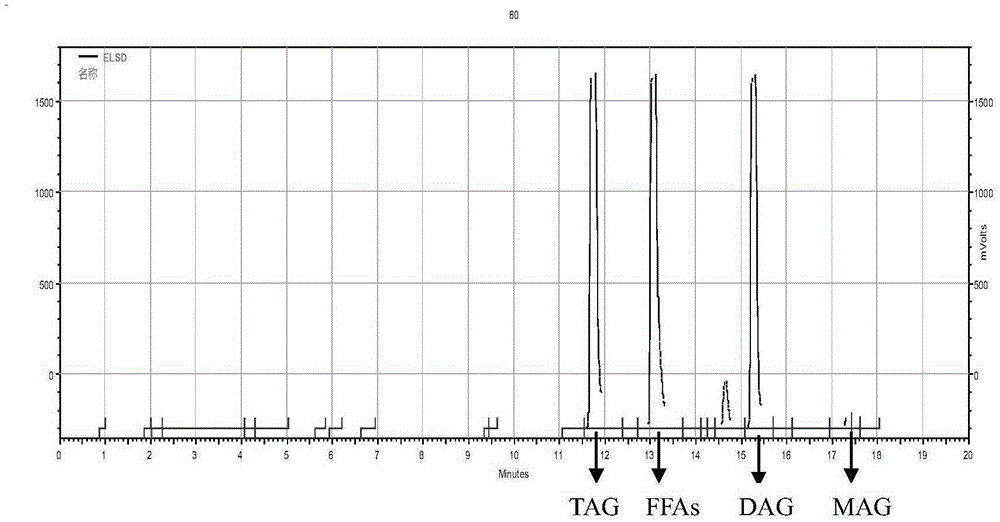 Method for preparing diglyceride through enzyme catalysis