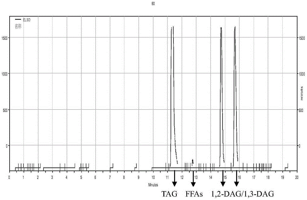 Method for preparing diglyceride through enzyme catalysis